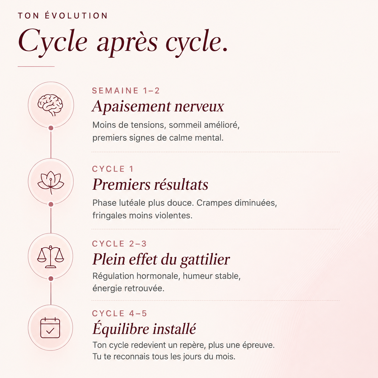 Le Complexe SPM